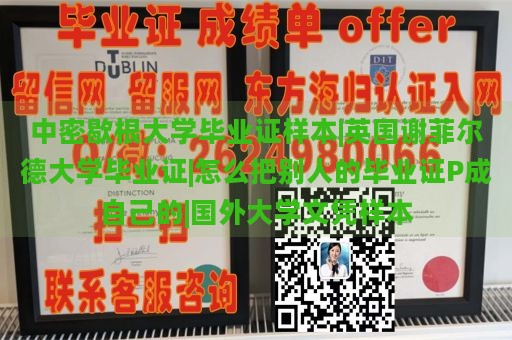 中密歇根大学毕业证样本|英国谢菲尔德大学毕业证|怎么把别人的毕业证P成自己的|国外大学文凭样本